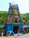 Palamudircholai murugan temple