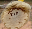Honey.... 