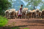Rural daily life
