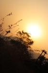 sunset time