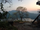 Tree at Kodaikanal View Point