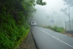 Road and the mist