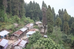 Nature 1