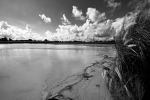 waterscape