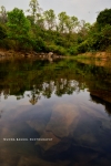 reflection 