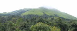 Natural landscape