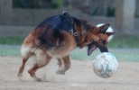 Elle with the ball