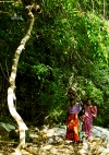 Forest tribal people