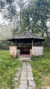 A hut in forest