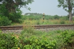 railway line