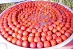 Gulab-Jamun