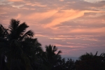 Beautiful morning