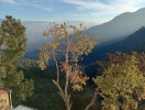 Attractive sight of nature 