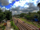 The tracks