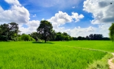 Natural Sky