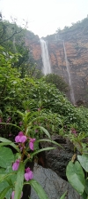Nambi Falls is one of the highest waterfalls of Chhattisgarh. Its beauty presents itself to the tourists as a very worth seeing sight during the monsoon season.
