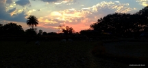 Nature evening time