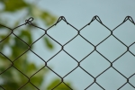 Net,mesh,grill,