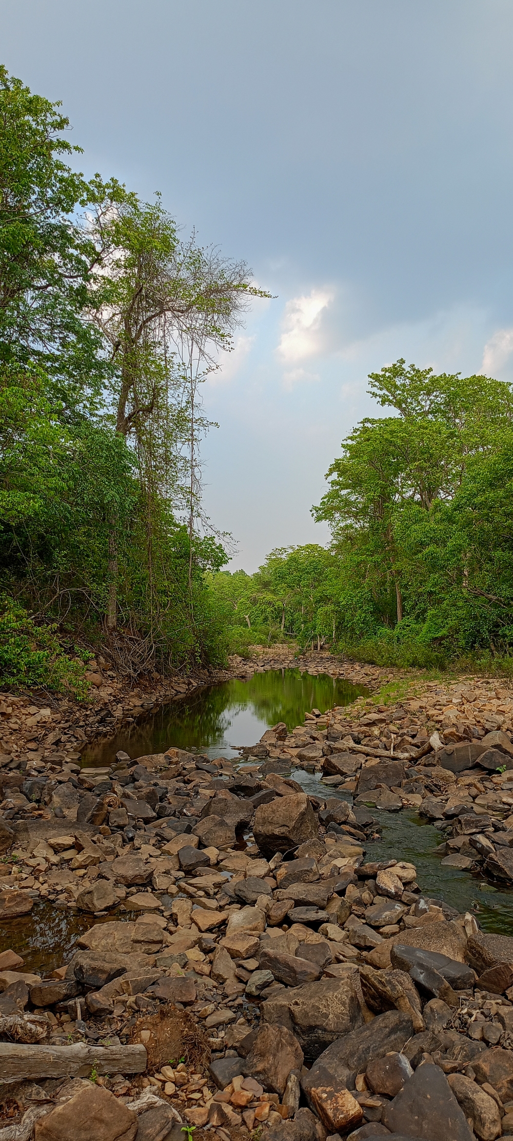 Kanger river kangervalleynationalpark jagdalpur , #wedding #moda  #photographer  #hair  #foodie  #inspiration  #funny  #instafood  #memes  #baby  #naturephotography  #l4l  #nails  #f4f  #likeforfollow #workout  #followforfollow  #illustration  #home  #instapic  #yummy  #vsco  #bestoftheday  #landscape  #catsofinstagram  #vscocam  #puppy  #fit  #party  #tagsforlikes  #girls  #tattoo  #healthy  #instafashion  #blackandwhite  #architecture  #love #instagood  #fashion #instagram  #photooftheday  #art  #photography  #beautiful #nature  #picoftheday  #travel  #happy  #cute  #instadaily  #style  #tbt  #repost  #followme #summer  #reels  #like4like  #beauty  #fitness  #food  #instalike #explore  #photo  #me  #selfie  #music  #viral  #friends #life #smile  #family #bastar #jagdalpur #Chhattisgarh #Gallery #Wildlife #Forest #Hills #beach #river #kanger dhara waterfall #viewofthenature #chitrakot #waterfall #Raipur #caves #Cave #kotamsarCave# India #tirathgarh