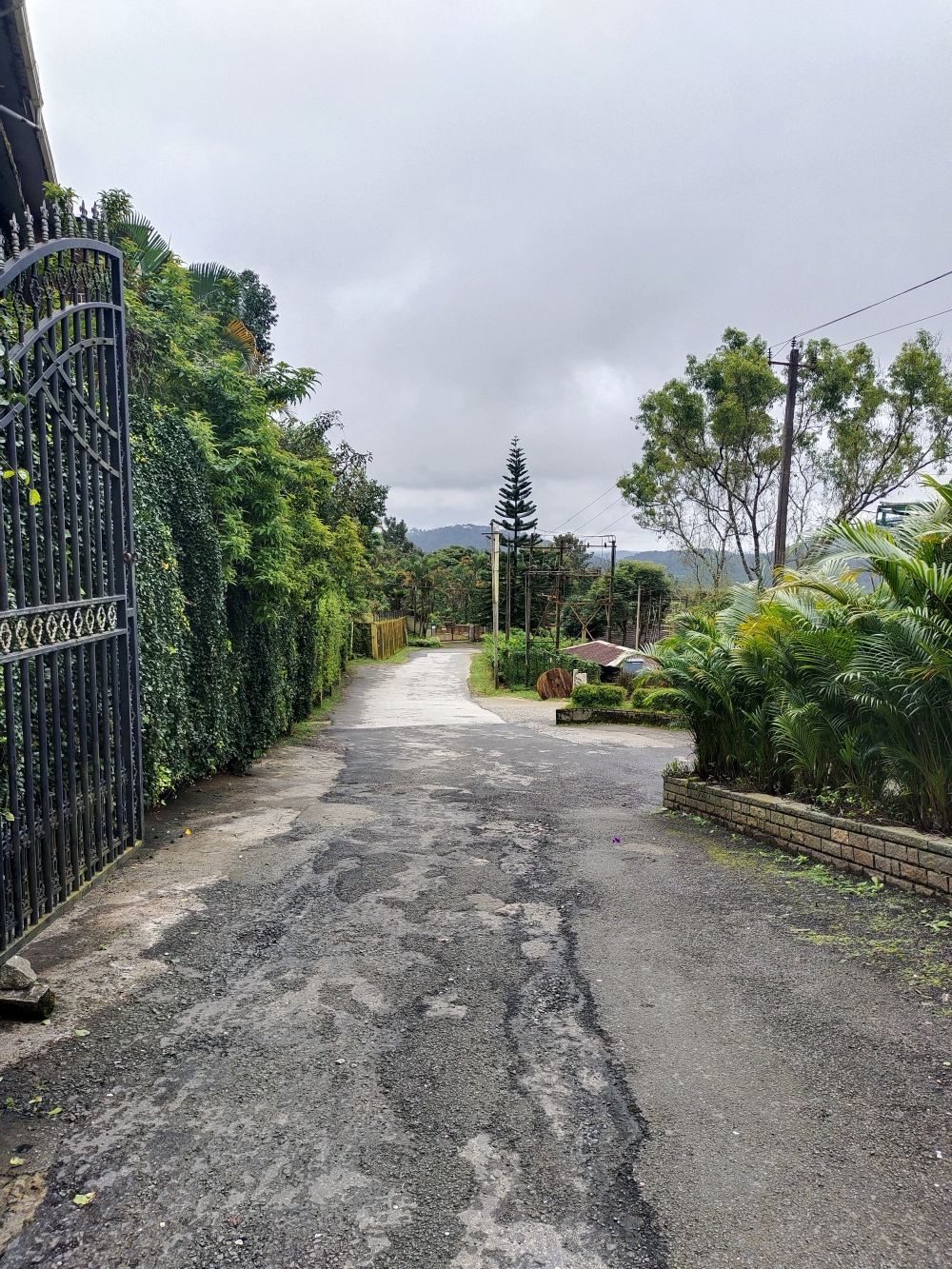 The poetic justice , #nature #photography #love #instagood #photooftheday #travel #sky #beautiful #art #naturephotography #like #landscape #sunset #photo #picoftheday #instagram #sun #beach #life #winter #sea #fun #cute #clouds #happy #naturelovers #summer #bhfyp, 