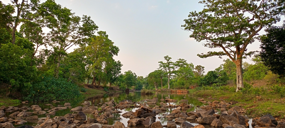 Reflections view kanger river , summer tirathgarh waterfall waterfalls indianwaterfall  nationalpark kangervalleynationalpark Raipur CG forest HD wallpaper view kangervalley tirathgarh waterfall waterfalls jungle Bastar Chhattisgarh photosoftheday photo gallery wallpaper view kangervalley instapicture instagood viralpic, morningrays nature forest jungle munnabaghelphotography kvnp nationalpark bastar kangervalleynationalpark jagdalpur explore landscape gochhatishgarh bastarpicture photooftheday tree green wild Hill, #nature #photography #love #instagood #photooftheday #travel #sky #beautiful #art #naturephotography #like #landscape #sunset #photo #picoftheday #instagram #sun #beach #life #winter #sea #fun #cute #clouds #happy #naturelovers #summer #bhfyp, 
