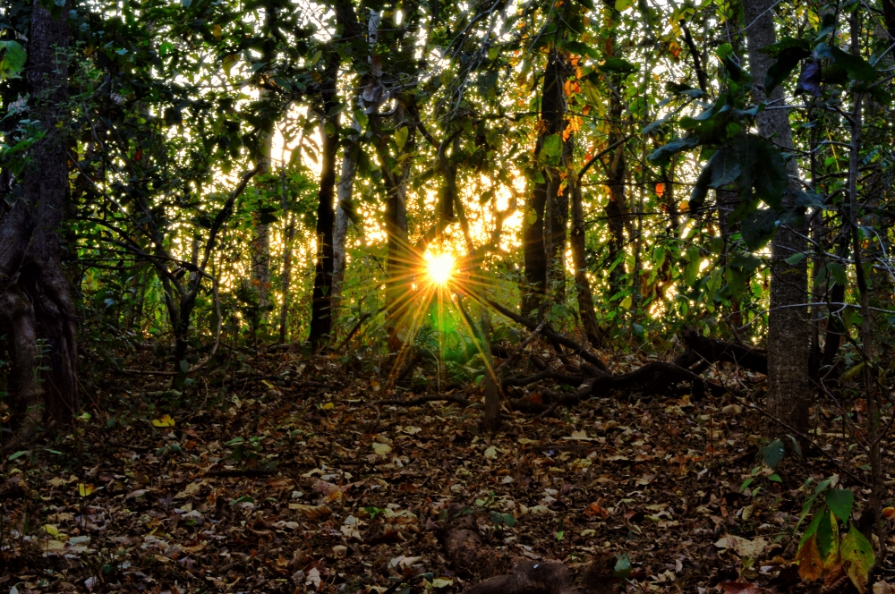 Beautiful morning view of the kangervalley national Park , #nature #photography #love #instagood #photooftheday #travel #sky #beautiful #art #naturephotography #like #landscape #sunset #photo #picoftheday #instagram #sun #beach #life #winter #sea #fun #cute #clouds #happy #naturelovers #summer #kangervalleynationalpark