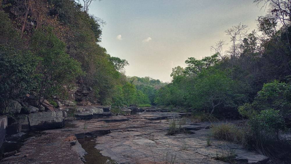 Kundru river 2 , wildlife nature national park, morningrays nature forest jungle munnabaghelphotography kvnp nationalpark bastar kangervalleynationalpark jagdalpur explore landscape gochhatishgarh bastarpicture photooftheday tree green wild Hill, #Nature #background #wallpaper #hdclicks #fullHD#landscape #photooftheday #winter #waterfall#fun #beautiful #fisherman #kangervallynationalpark #naturelovers #nationalpark#@munnabaghel, Nature background wallpaper hdclicks fullHD landscape limestonecaves wild bastar chhatishgarh kangervalleynationalpark kvnp, 