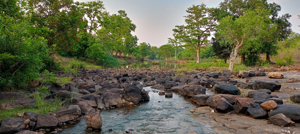 Nala , nature landscape background sunrays hdclicks nikongair lake reflection photos Bastar chhatishgarh sky clouds photooftheday naturephotography, wildlife HD wallpaper background picture wild animals Nature Photography tree spoteddave indianbird bastar munnabaghelphotography potooftheday Dave nationalpark kvnp forest jungle kangervalleynationalpark jagdalpur awesome birdphotography photosofbird nature gochhatishgarh chhatishgarh photo, #nature #photography #love #instagood #photooftheday #travel #sky #beautiful #art #naturephotography #like #landscape #sunset #photo #picoftheday #instagram #sun #beach #life #winter #sea #fun #cute #clouds #happy #naturelovers #summer #bhfyp, Bastar chitrakoot chitrakotewaterfalls chitrakote chitrakotefalls tour chitrakootfalls bastartourism bastar bastarchhattisgarh incredibleindiaofficial  travel  traveling chhattisgarh indiatourism chhattisgarhtourism indiatours, 