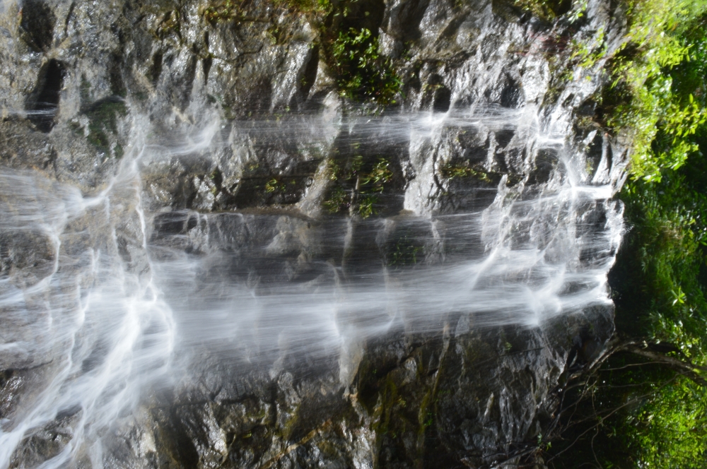Waterfall,water,wild,rock,green,greens, greenery, Forrest,Forrest waterfall,rainy,rain, monsoon,monsoon waterfall, water, waterfalls, rock, natural, Nature, Green, greenery, greens, white, milky white, black, black rock, kalalayam, calicut, kerala water falls, plants, plant, Green leafs, Green plants, Green plants, freeze, paintedgrasshopper wildlife bastar Nikon d3200 nikongear munnabaghelphotogaphy chameleon wildlife HD wallpaper background picture wild animals Nature Photography grasshoper, Photography, wallpaper, dslrphotography, Rain, After Rain, Rainy day, Rainy season, At rainy season, Kerala, kerala nature,