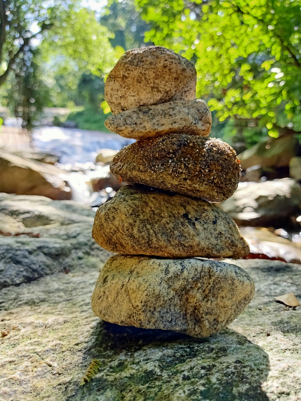 Rock, rock, 