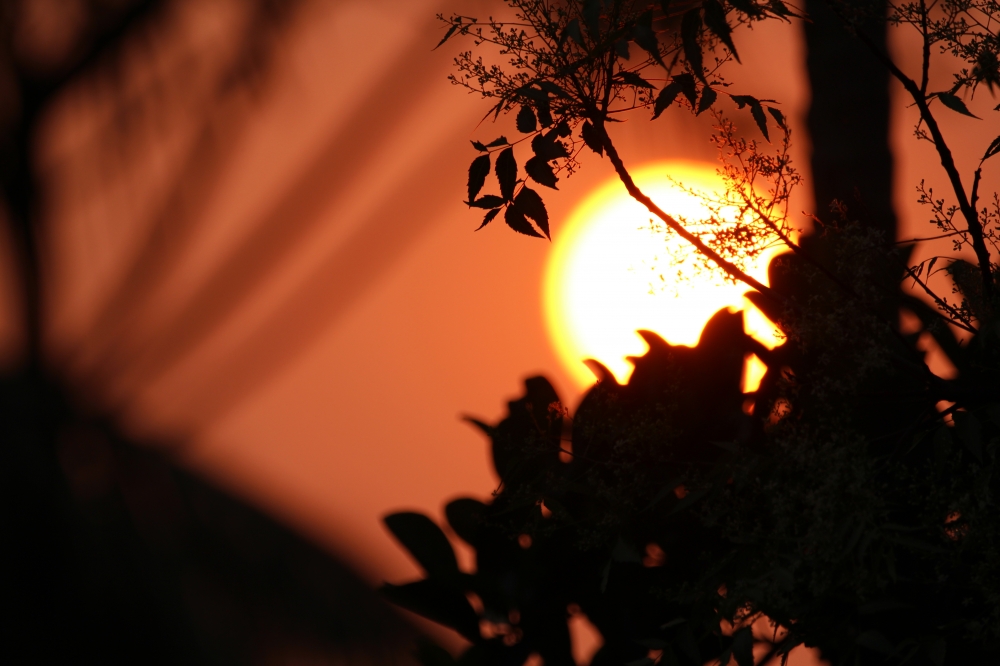 SunSet , Sunset, nature, beautiful, red sun, 