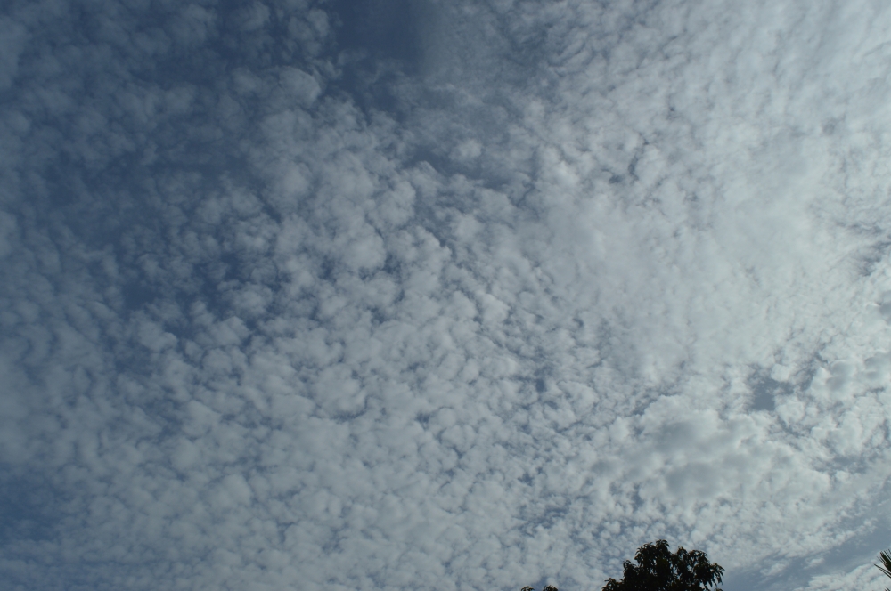 Clouds , Nature, Sky, Clouds, white, white clouds, wallpaper, 