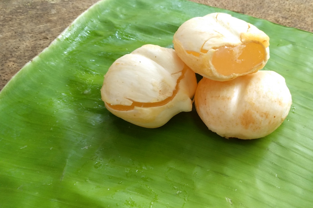 Nongu (Palmyra Fruit), nongu, palmyra, fruit, palm, india, tamilnadu, natural, fresh, cool, food, summer