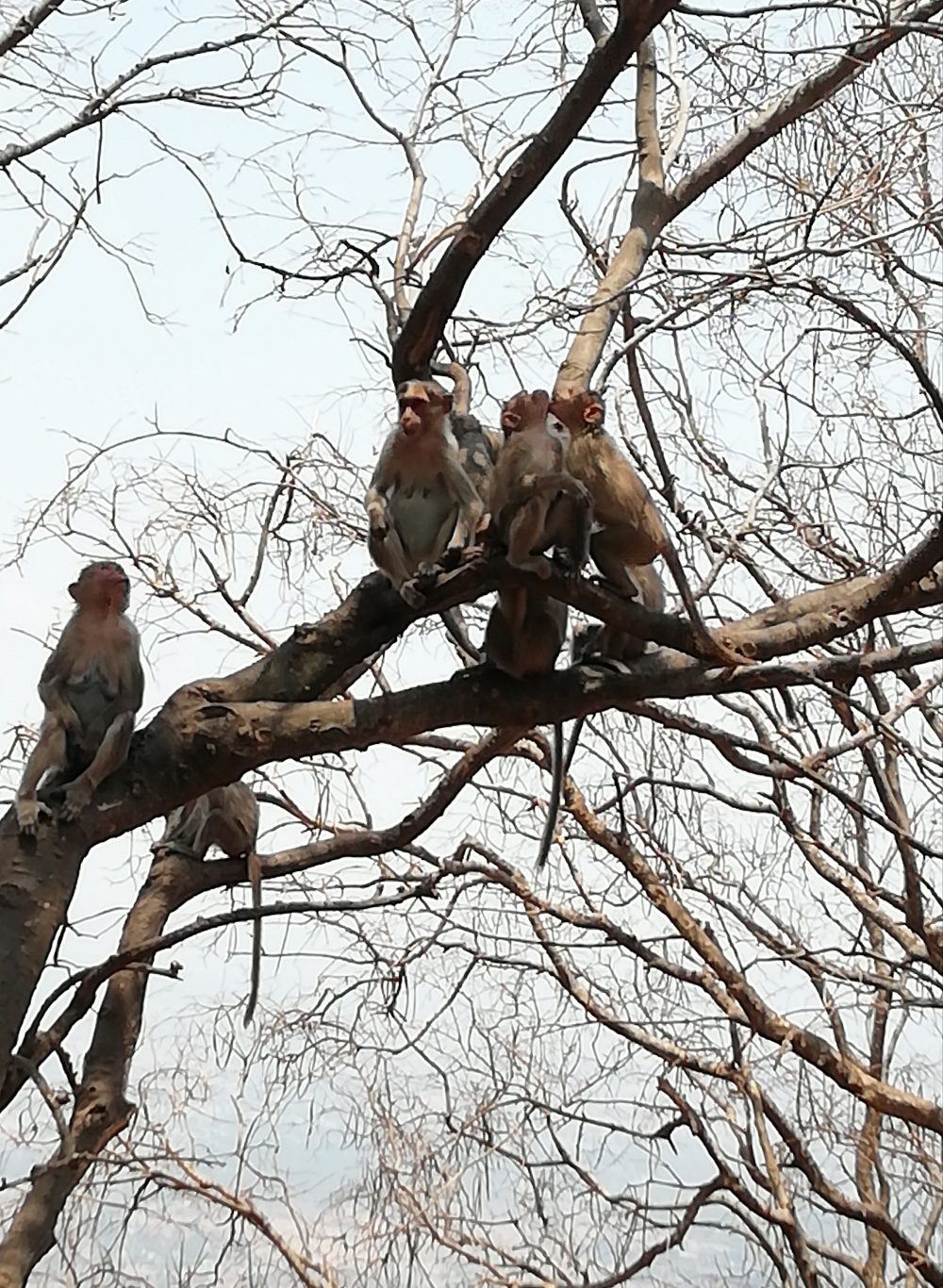 A day in summer 2019, Looking up the sky / clouds
