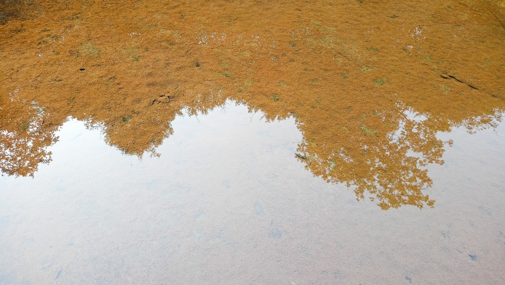 Nature view , Nature background wallpaper hdclicks fullHD landscape limestonecaves wild bastar chhatishgarh kangervalleynationalpark kvnp, morningrays nature forest jungle munnabaghelphotography kvnp nationalpark bastar kangervalleynationalpark jagdalpur explore landscape gochhatishgarh bastarpicture photooftheday tree green wild Hill, summer tirathgarh waterfall waterfalls indianwaterfall  nationalpark kangervalleynationalpark Raipur CG forest HD wallpaper view kangervalley tirathgarh waterfall waterfalls jungle Bastar Chhattisgarh photosoftheday photo gallery wallpaper view kangervalley instapicture instagood viralpic, #nature #photography #love #instagood #photooftheday #travel #sky #beautiful #art #naturephotography #like #landscape #sunset #photo #picoftheday #instagram #sun #beach #life #winter #sea #fun #cute #clouds #happy #naturelovers #summer #bhfyp, 