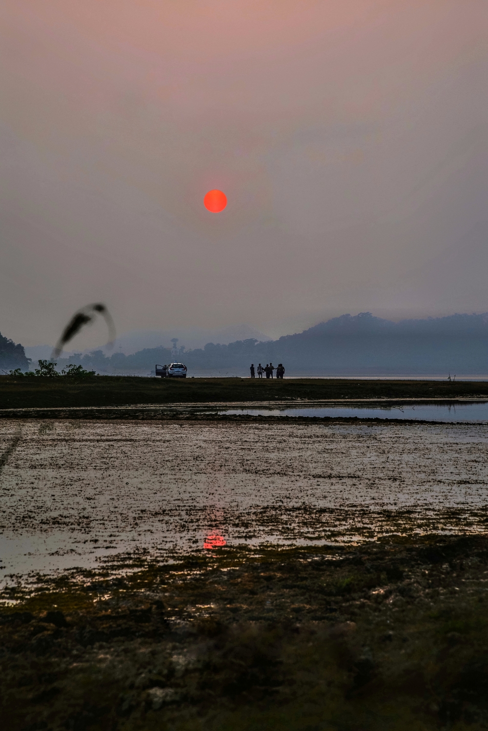 Sunset , Sun, Sunset, 