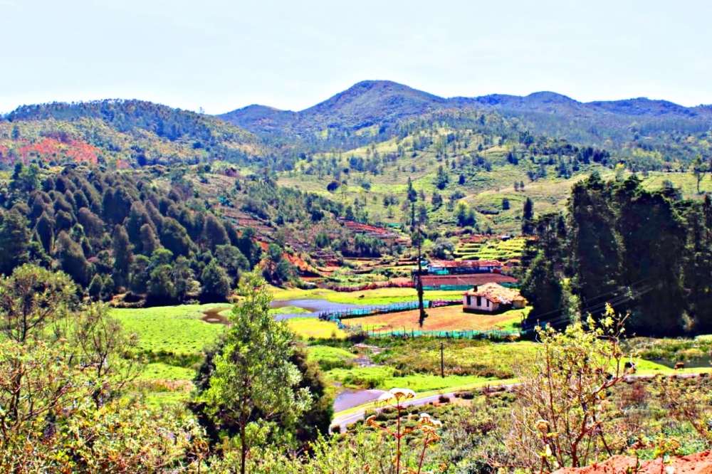Green valley @ ooty , Solo ride