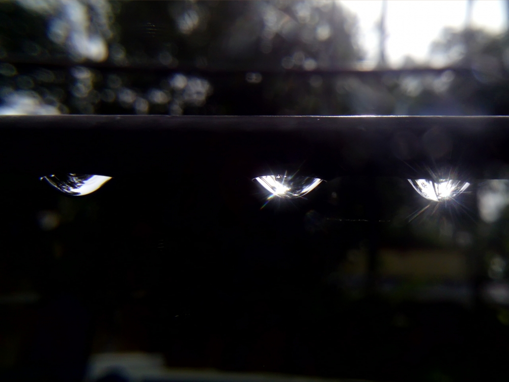 raindrops after rain in the darkness, raindrops after rain in the darkness,raindrops,water, rain, darkness, lightness,black,mobile photography, macro photography,