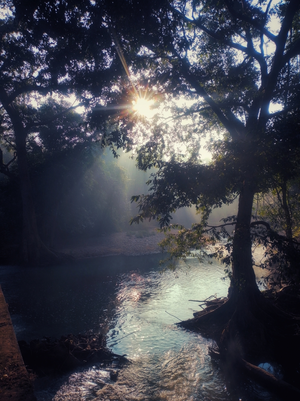 morning rays , #nature #photography #love #instagood #photooftheday #travel #sky #beautiful #art #naturephotography #like #landscape #sunset #photo #picoftheday #instagram #sun #beach #life #winter #sea #fun #cute #clouds #happy #naturelovers #summer 
