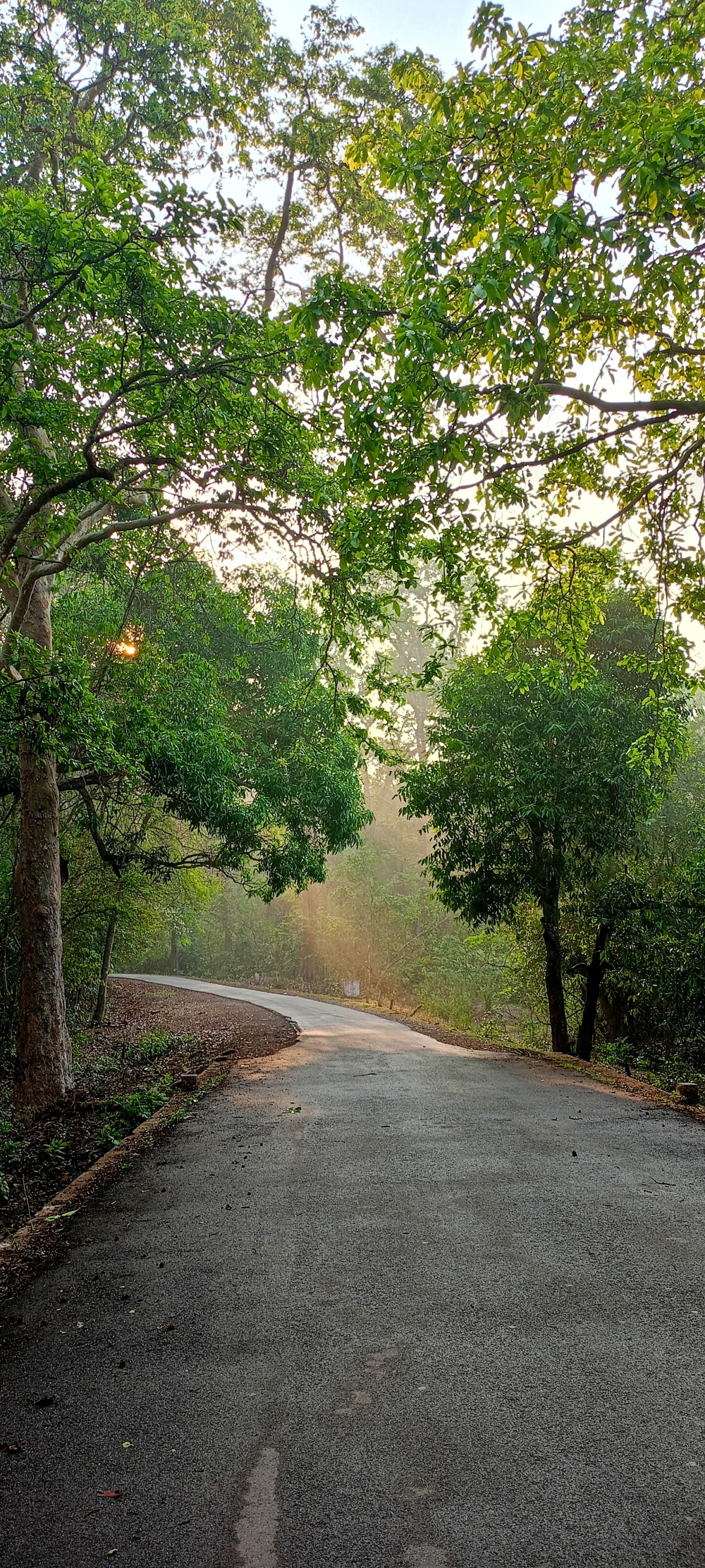 Nature view 2, nature landscape background sunrays hdclicks nikongair lake reflection photos Bastar chhatishgarh sky clouds photooftheday naturephotography, morningrays nature forest jungle munnabaghelphotography kvnp nationalpark bastar kangervalleynationalpark jagdalpur explore landscape gochhatishgarh bastarpicture photooftheday tree green wild Hill, morningrays nature forest jungle munnabaghelphotography kvnp nationalpark bastar kangervalleynationalpark jagdalpur explore landscape gochhatishgarh bastarpicture photooftheday tree green wild Hill, #nature #photography #love #instagood #photooftheday #travel #sky #beautiful #art #naturephotography #like #landscape #sunset #photo #picoftheday #instagram #sun #beach #life #winter #sea #fun #cute #clouds #happy #naturelovers #summer #bhfyp, 