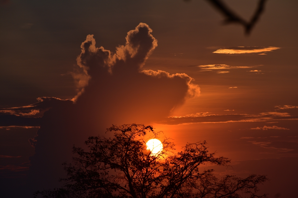 An photography , Sunset, nature lover