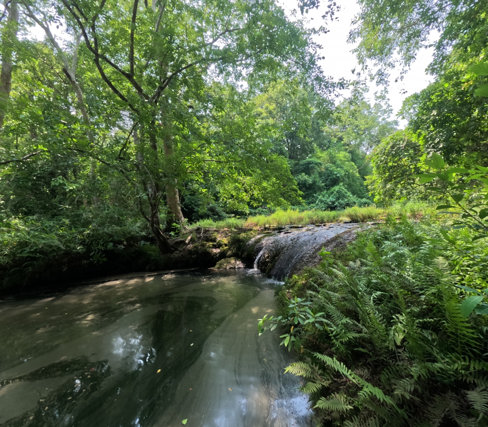 During summer, when the water of the waterfall starts flowing, it appears very clear and one becomes mesmerized by seeing it., #Nature #background #wallpaper #hdclicks #fullHD#fksayyad @f.k.sayyad, 