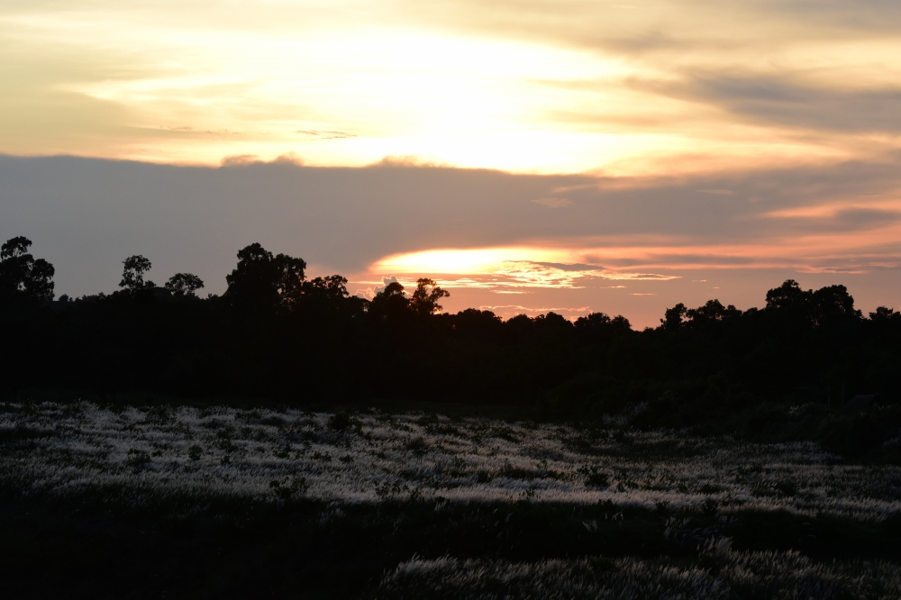 retrate, Sunset, CITY IN THE EVENING, Looking up the sky / clouds, watch/sun, Foodies, 