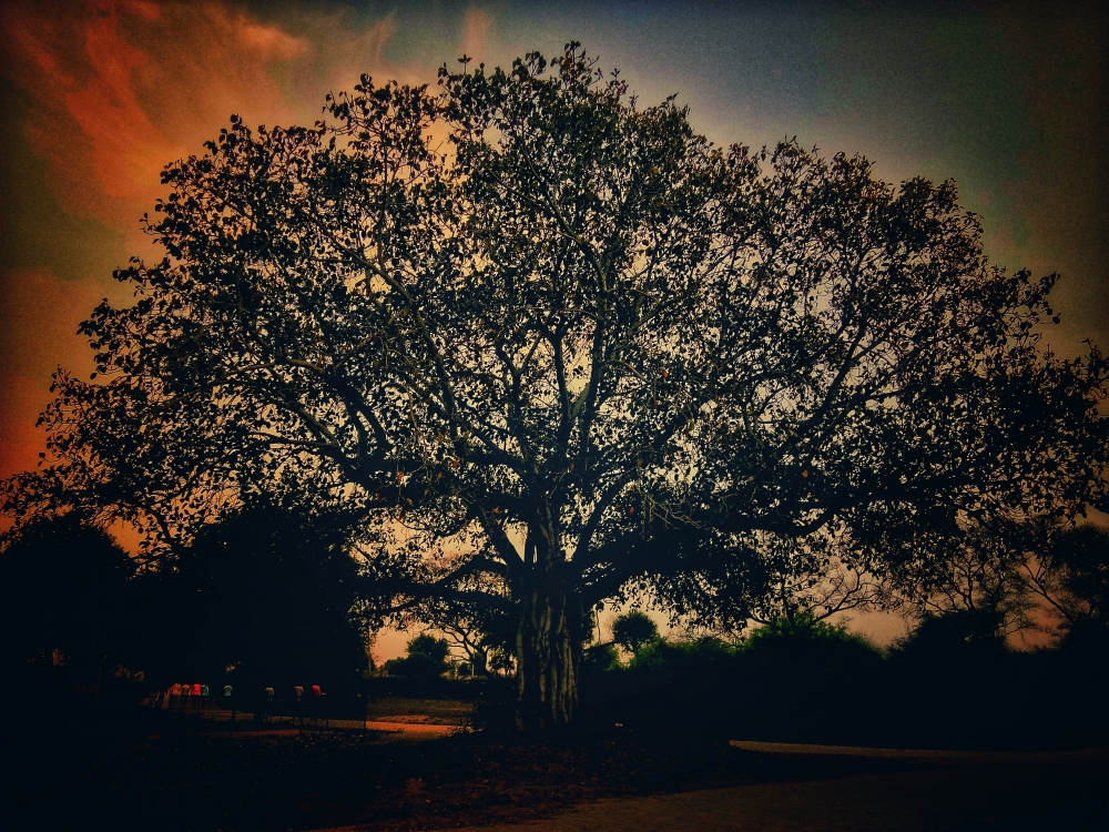 The landscape, Sunset