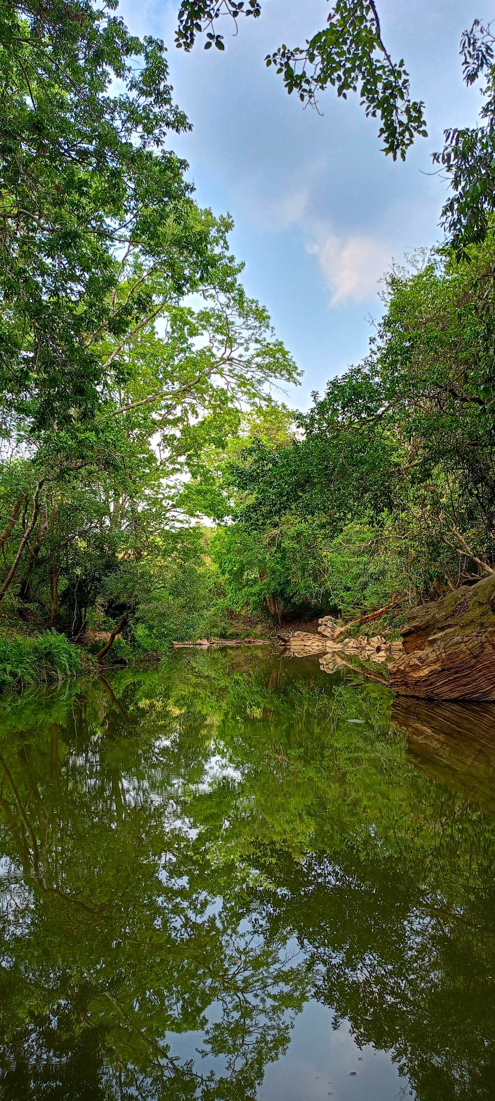 Greenery of Kunduru River , #nature #photography #love #instagood #photooftheday #travel #sky #beautiful #art #naturephotography #like #landscape #sunset #photo #picoftheday #instagram #sun #beach #life #winter #sea #fun #cute #clouds #happy #naturelovers #summer #bhfyp, nature landscape background hdclicks fishing wallpaper people stock Fisherman photos photooftheday Bastar kangervalleynationalpark kvnp nationalpark naturephotography Munnabaghel_photography, morningrays nature forest jungle munnabaghelphotography kvnp nationalpark bastar kangervalleynationalpark jagdalpur explore landscape gochhatishgarh bastarpicture photooftheday tree green wild Hill, summer tirathgarh waterfall waterfalls indianwaterfall  nationalpark kangervalleynationalpark Raipur CG forest HD wallpaper view kangervalley tirathgarh waterfall waterfalls jungle Bastar Chhattisgarh photosoftheday photo gallery wallpaper view kangervalley instapicture instagood viralpic, summer wildlife habitat HD wallpaper beautiful waterfall view Bird forest bastar jagdalpur Chhattisgarh India Raipur CG Forest Hills Wildlife, 
