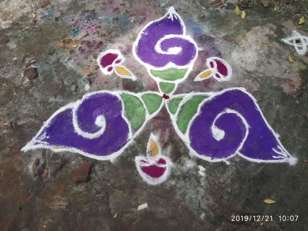 sangu rangoli, sangu rangoli, rangoli, beauty, Nature, 