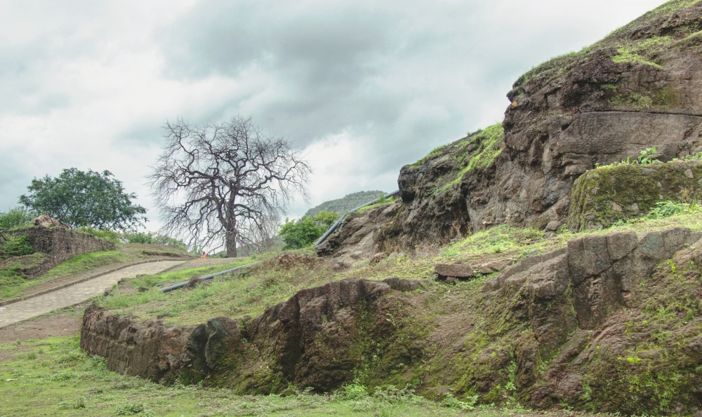a solo bear tree, landscape, Nature, Trees, bare tree, road, path, mountains, greenery, Clouds, Sky, 