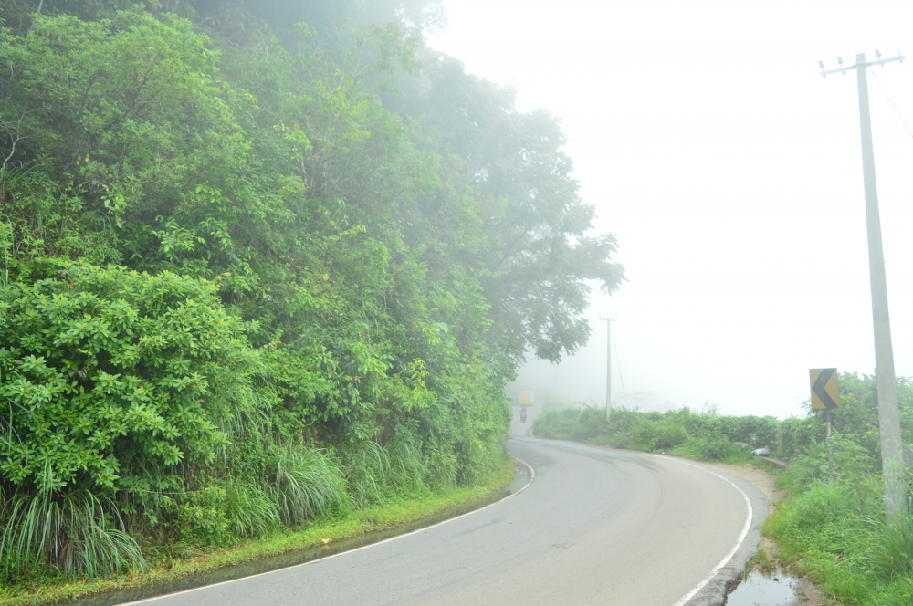 Road, Nature, landscape, road, On a road.., greenery, forest, 