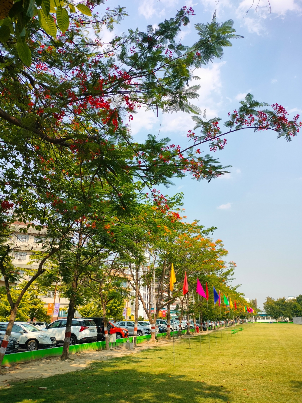 Integral University Ground, Integral University, Play ground, ground, #Nature #background #wallpaper #hdclicks #fullHD#fksayyad @f.k.sayyad, 