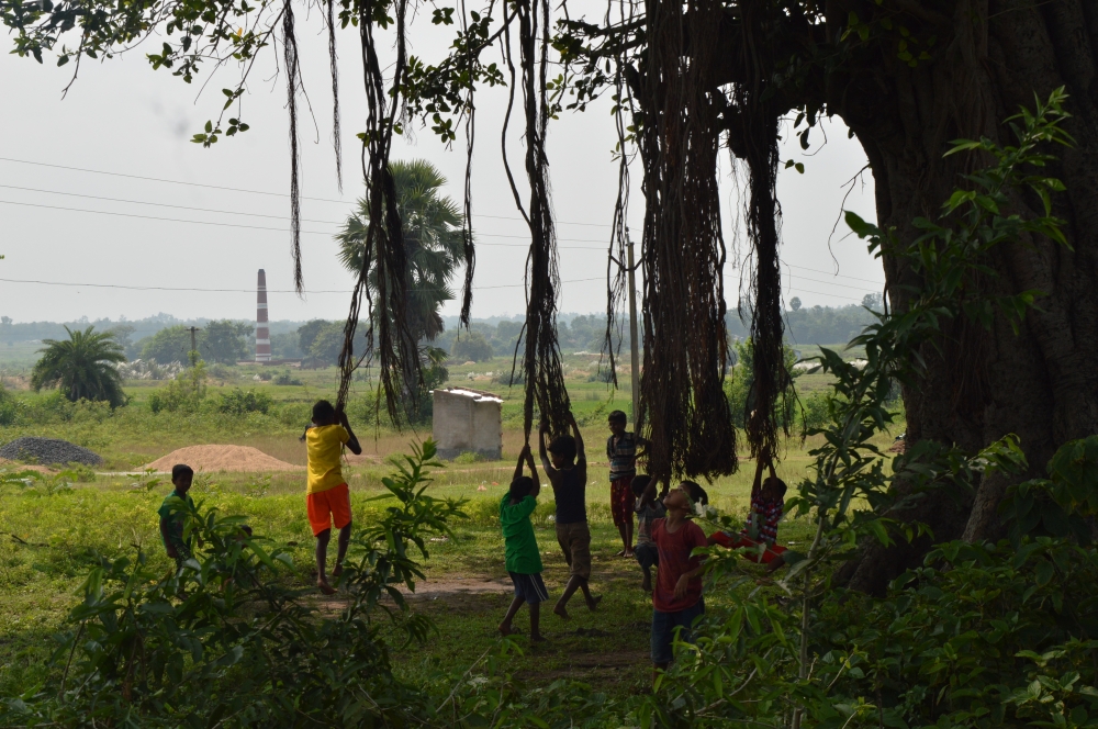 VILLAGE CHILDREN ARE PLAYING UNDER TREE, children, village, play, Trees, Banyan, Green, Root, stem, childhood, brown, 
